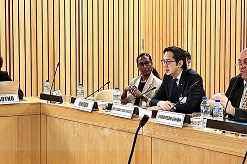 Посол До Хунг Вьет председательствует на консультационном семинаре. (Фото: ВИА)