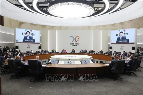 Президент Лыонг Кыонг принял участие в Саммите 32-го Форума APEC (Фото: ВИА)