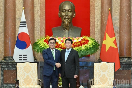 [Фото] Президент Вьетнама Лыонг Кыонг принял Председателя Национального собрания Республики Корея