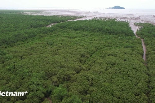 Иллюстративное изображение. (Фото: ВИА)