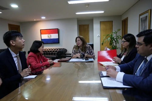 Посол Нго Минь Нгует и Генеральный директор Департамента многосторонней политики Министерства иностранных дел Парагвая Нимия Да Силва Бошерт обсуждают меры по дальнейшему развитию двустороннего сотрудничества. (Фото: ВИА)