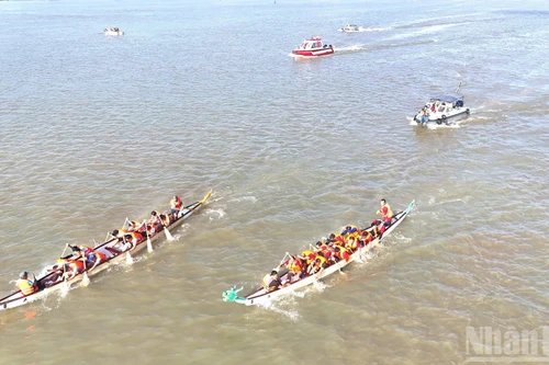 [Фото] Оживленные состязания по гребле на реке Донгнай