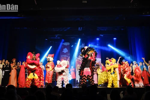 Радостная атмосфера встречи Лунного Нового года вьетнамцев, проживающих во Франции