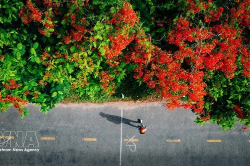 В преддверии праздников по случаю Дня воссоединения страны 30 апреля и Первомая вьетнамские туристы все чаще выбирают зарубежные поездки на близкие расстояния и нестандартные форматы отдыха. (Иллюстративное фото: ВИА)