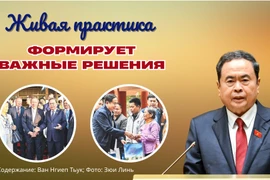 Живая практика формирует важные решения