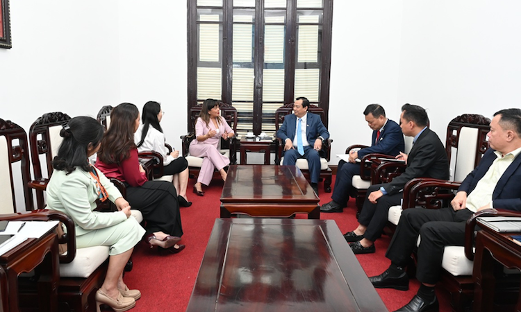 Общий вид встречи.