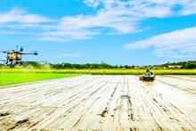 Фермеры города Кантхо внедряют высокие технологии в сельскохозяйственное производство.