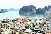 Куангнинь подтверждает позицию северного полюса роста