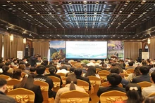 Делегаты на семинаре