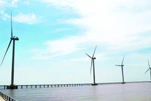 Проект прибрежной ветроэлектростанции в общине Виньхай города Кантхо создает источник чистой энергии для экономического развития. Фото: Тхать Хонг