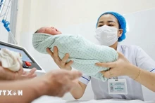 Иллюстративное фото: ВИА