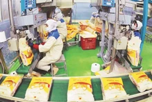 Упаковка экспортного риса в АО «Локчой». Фото: ВИА