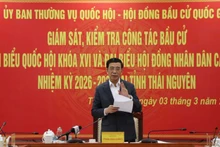 Генерал армии Фан Ван Зянг выступает на рабочей встрече. 