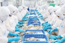 Переработка экспортной рыбной продукции на заводе АО по переработке и экспорту-импорту морепродуктов Киенкыонг, провинция Анзянг. Фото: Фу Кыонг 