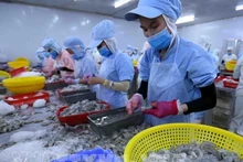 Переработка креветок на экспорт в провинции Даклак. Фото: ВИА