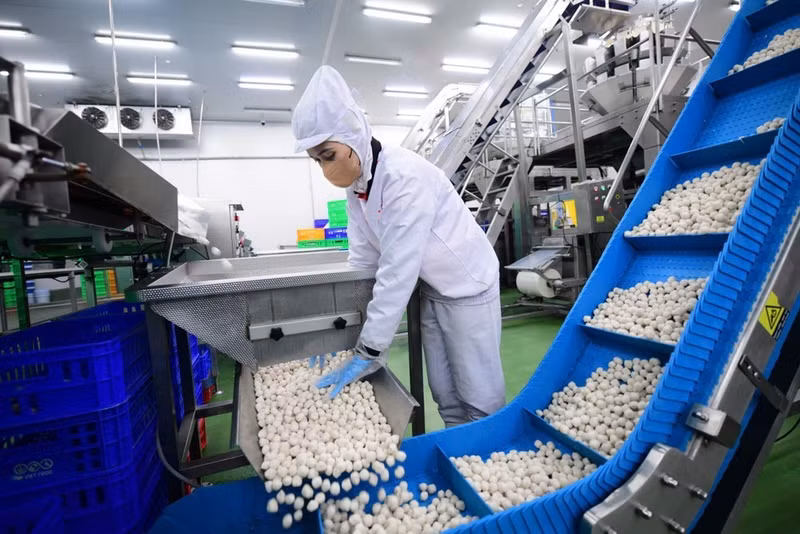 Линия по переработке пищевой продукции компании LC Foods. (Фото: До Бао)