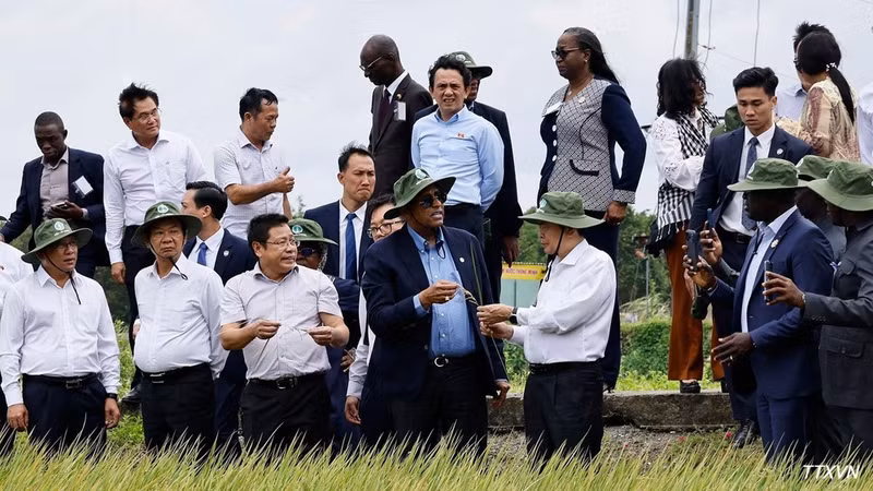 vna-potal-hai-chu-tich-quoc-hoi-viet-nam-va-cote-divoire-tham-canh-dong-lua-trien-vong-o-can-tho-8980058-7588-6333.jpg