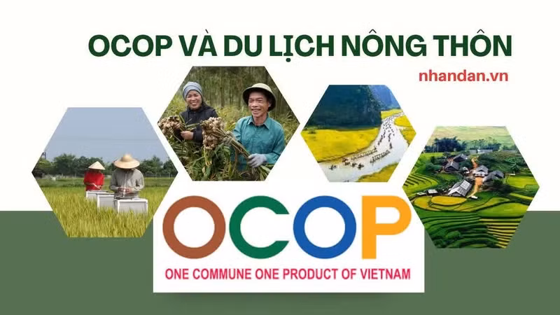 Синхронное и устойчивое развитие программы OCOP и сельского туризма