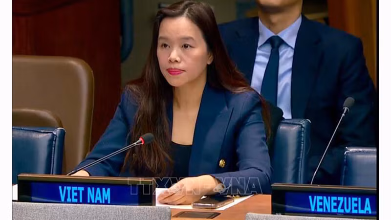 Советник-посланник Ле Тхи Минь Тхоа, замглавы постоянной миссии Вьетнама при ООН. Фото: ВИА