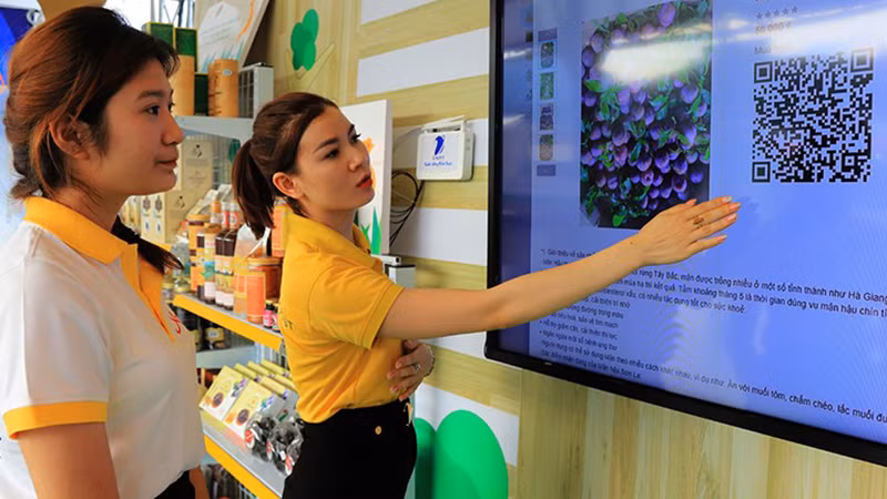 Сотрудник платформы электронной коммерции PostMart дает консультации и представляет фрукты Шонла на цифровом стенде. 