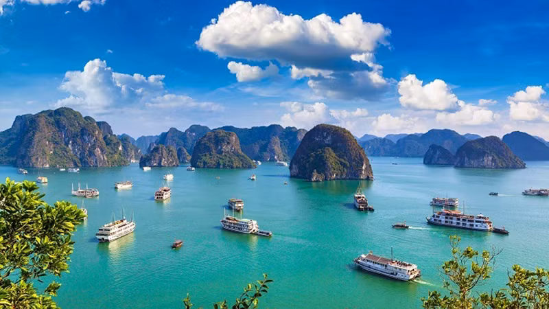 Бухта Халонг. Фото: Vinpearl