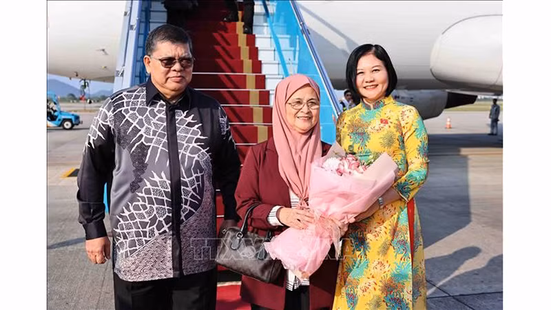 Председатель Палаты представителей Малайзии Тан Шри Дато Джохари бин Абдул с супругой в аэропорту Нойбай. Фото: ВИА