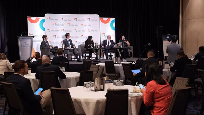 Общий вид мероприятия. Фото: ВИА