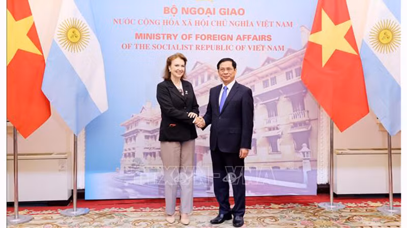 Министр иностранных дел Буй Тхань Шон и Министр иностранных дел, международной торговли и религии Аргентины Диана Елена Мондино. Фото: ВИА