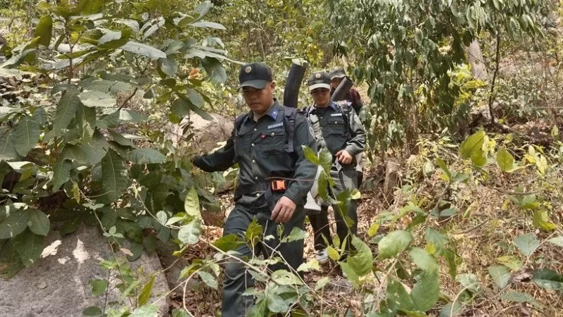 Силы охраны леса патрулируют и защищают леса в районе горы Кам города Тиньбьен провинции Анжанг. Фото: ВИА