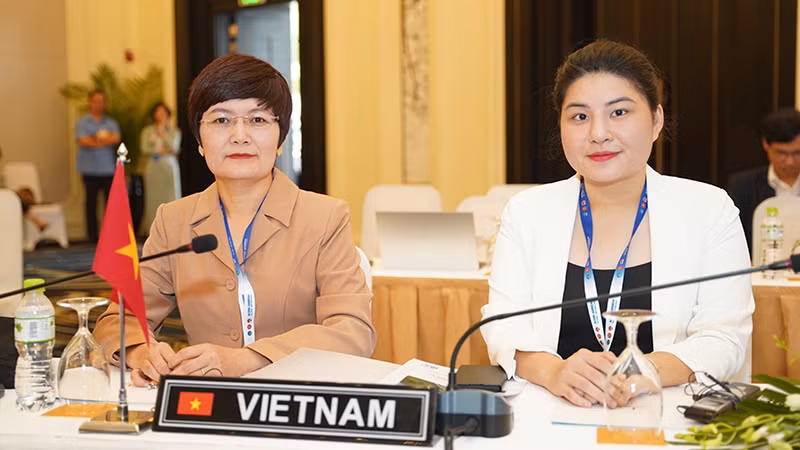 Представители Вьетнама на заседаниях.