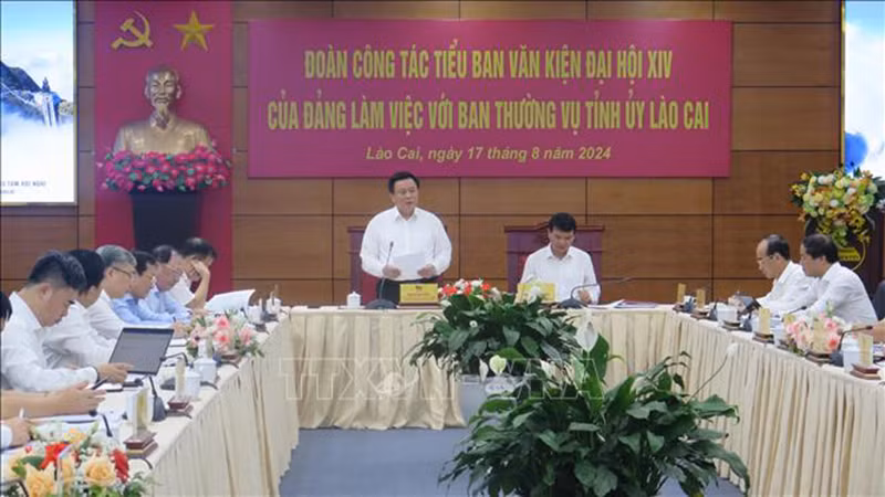 Товарищ Нгуен Суан Тханг выступает на рабочей встрече. Фото: ВИА