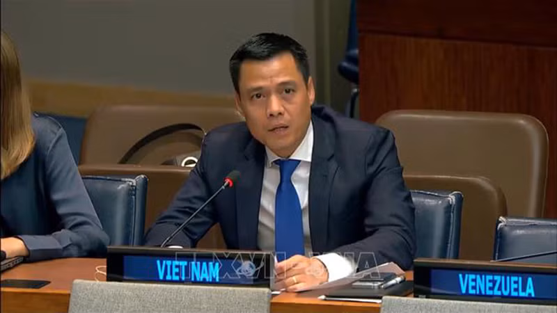 Посол Данг Хоанг Жанг выступает на дискуссии. Фото: ВИА