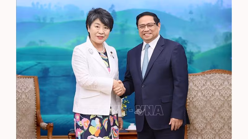 Премьер-министр Фам Минь Тьинь и Министр иностранных дел Японии Камикава Ёко. Фото: ВИА