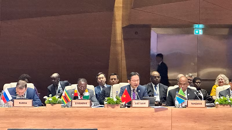 Заместитель министра иностранных дел До Хунг Вьет возглавляет вьетнамскую делегацию для участия в совещании. Фото: МИД Вьетнама