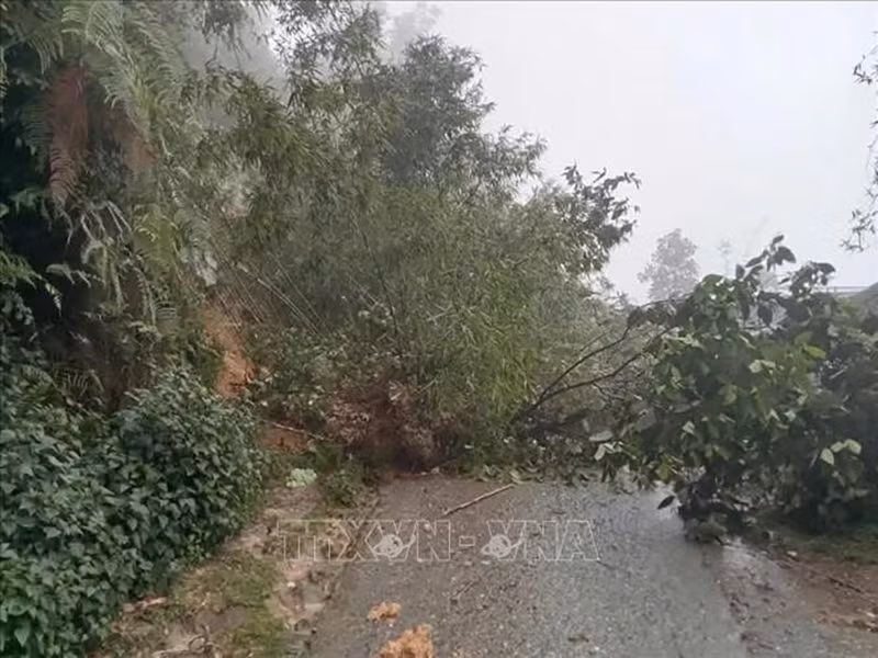 Оползень на дороге от центра общины Таван до деревень Сеомити и Зентхань (город Шапа, Лаокай), 23 мая 2025 года. Фото: ВИА