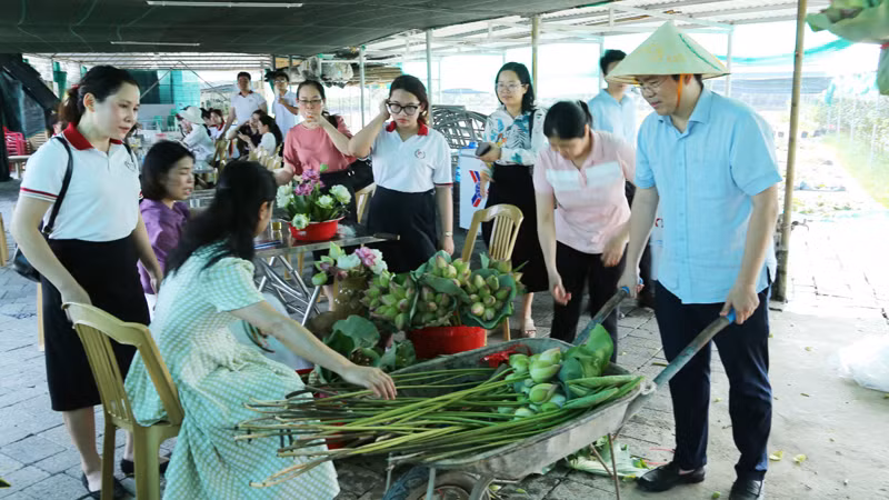 Посещая кооператив Вандай, посетители могут не только сфотографироваться, но и узнать, как расположить цветы лотоса в вазе (на фото), насладиться блюдами, приготовленными из лотоса, и купить их.