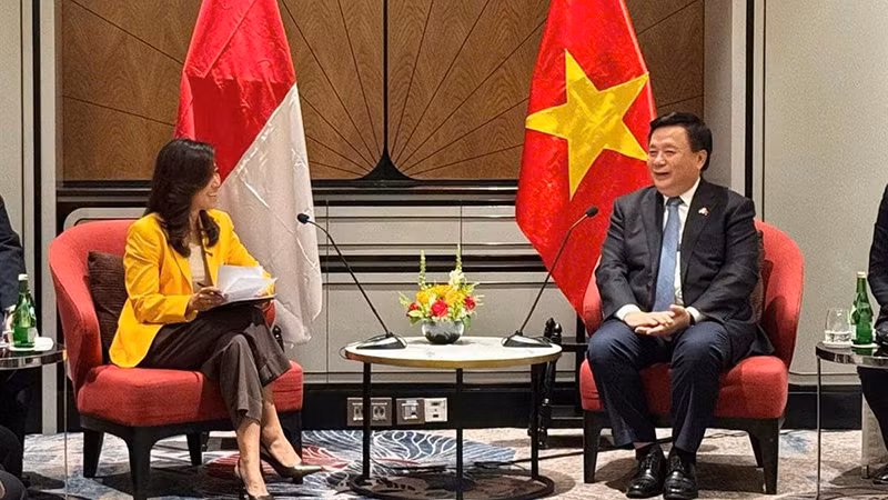 Товарищ Нгуен Суан Тханг и Министр связи и цифровых технологий Индонезии Меутья Виада Хафид. Фото: hcma.vn