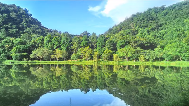 Национальный парк Кукфыонг. Фото: Департамент туризма провинции Ниньбинь