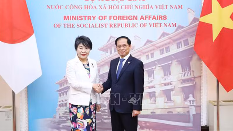 Министр иностранных дел Буй Тхань Шон и Министр иностранных дел Японии Камикава Ёко. Фото: ВИА