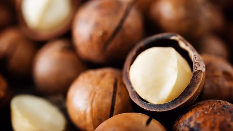 На сегодняшний день в стране насчитывается 29 провинций, выращивающих макадамию общей площадью около 20 000 га. 