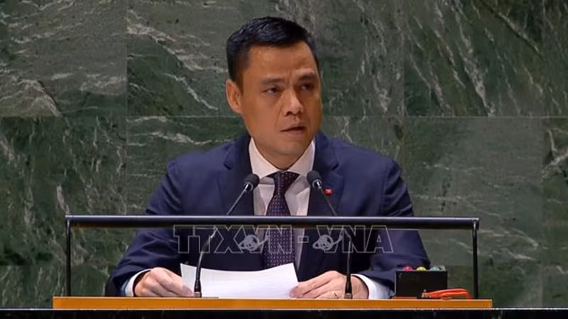 Посол Данг Хоанг Жанг выступает на заседании. Фото: ВИА