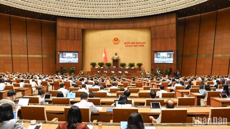 Общий вид заседания НС 20 мая 2025 года. Фото: Буй Жанг