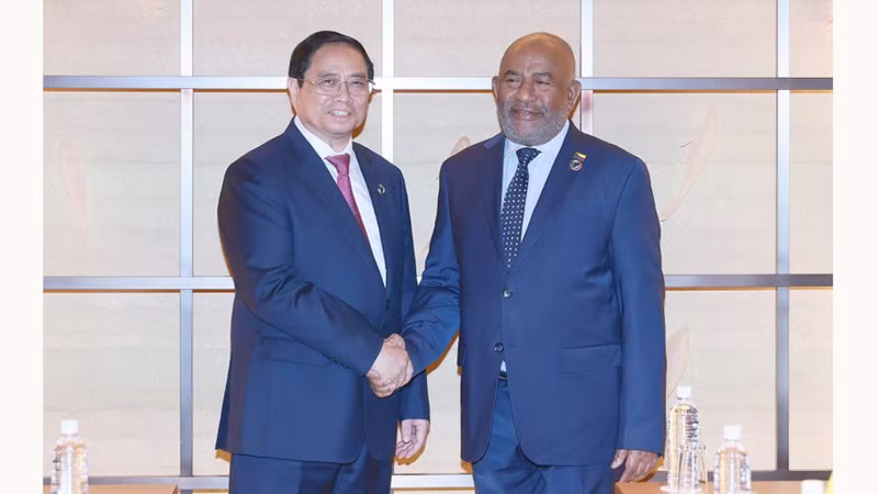 Премьер-министр Фам Минь Тьинь и Президент Союза Коморских Островов Азали Ассумани. Фото: Зыонг Жанг