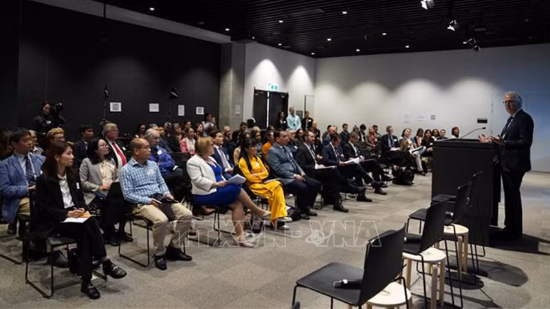 Общий вид семинара. Фото: ВИА