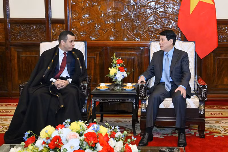 Президент Вьетнама Лыонг Кыонг принимает Посла Алжира Азеддина Бечку. Фото: Тхюи Нгуен