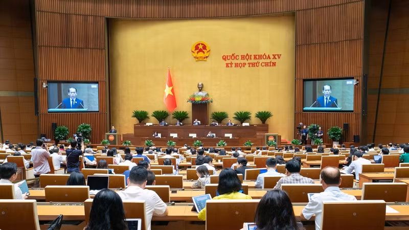 Общий вид заседания в зале в первой половине дня 17 мая. Фото: ВИА