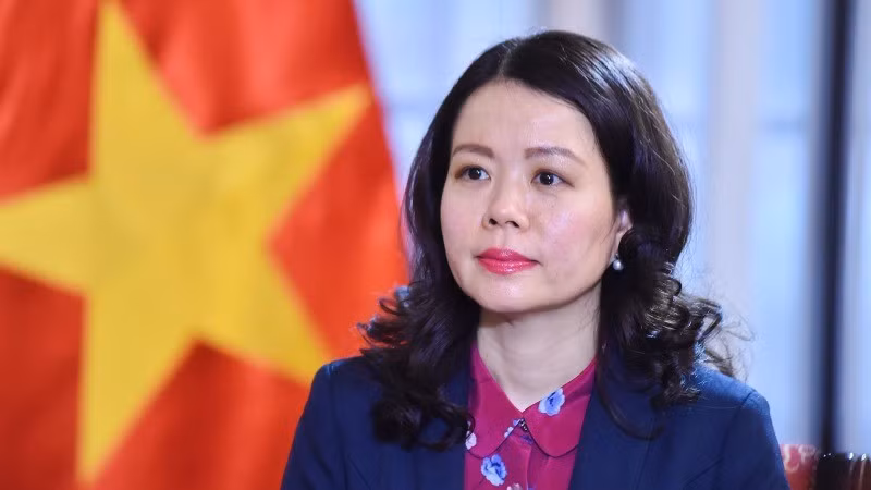 Заместитель министра иностранных дел Нгуен Минь Ханг. Фото: baoquocte.vn