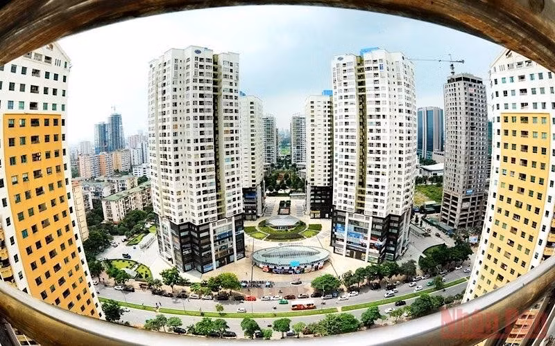 Иллюстрация. Фото: Чан Хай