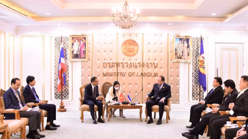 Общий вид рабочей встречи. 