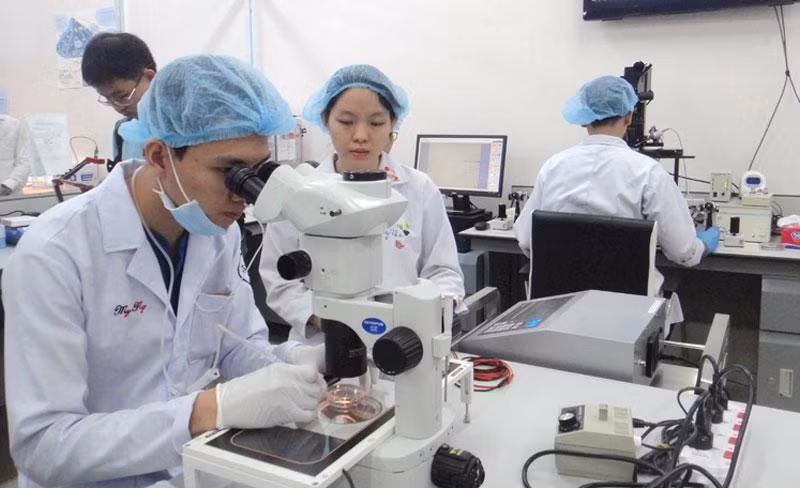 Международный институт при Государственном университете г. Хошимина. 